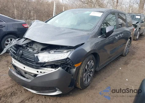 2024 Honda Odyssey Ex-L из США, поврежденный, VIN 5FNRL6H6XRB018224